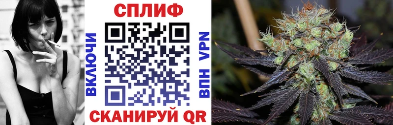 ГАШ Заозёрный
